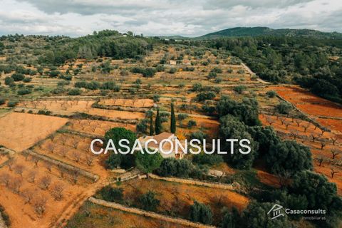 Masia a Cabanes, Castellon, Cabanes - € 100.000 | Ref: 917 - foto 5